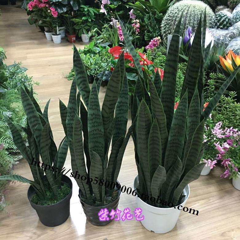 仿真剑麻龙舌兰外母舌虎皮兰热带仿真绿植芦荟摆放花艺室内外单只
