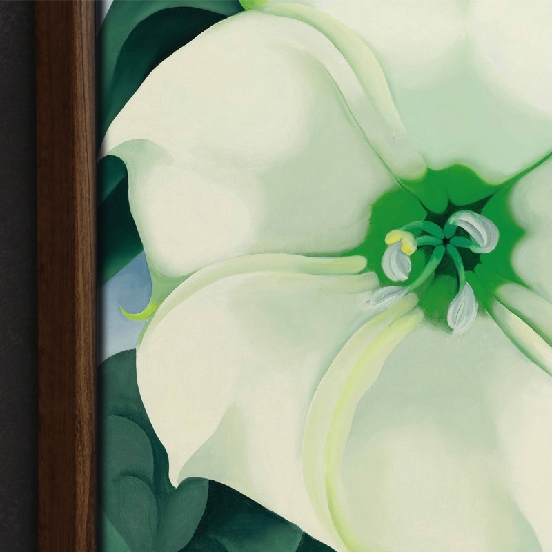 欧姬芙油画玄关客厅美式卧室酒吧简约民宿绿植花卉装饰画餐厅定做