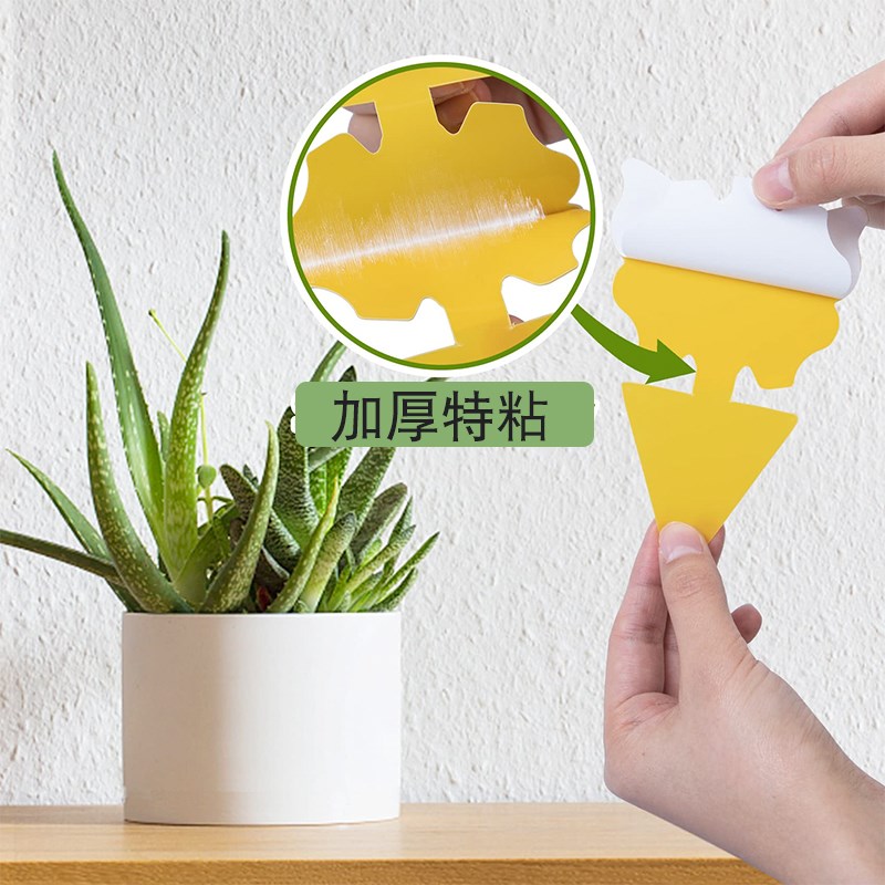双面黄色粘虫板强力诱虫纸贴黏小黑飞虫蝇蜂诱捕器园艺防虫片粘板