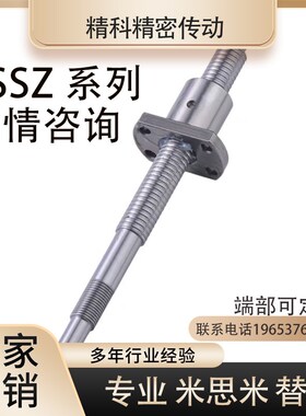 替代米思米轧制滚珠丝杠BSSZ1204 1505 2005 2010 2505 2510 3210