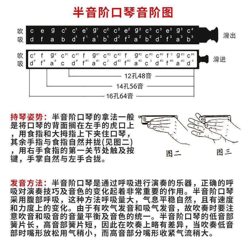 孔声天琴座半音阶口琴12孔48音金属琴格新手成人初学专业演奏乐器
