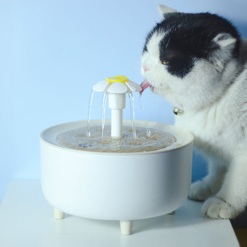 花螗季小花宠物饮水机自动循环过滤猫咪饮水器智能宠物喂水器水碗
