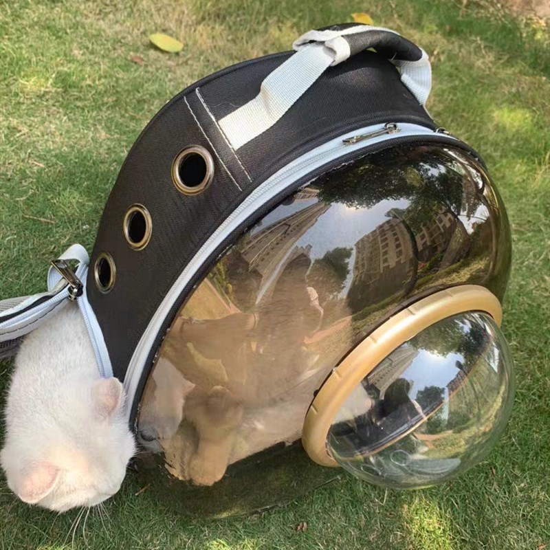 大号便携猫包夏天外出宠物全透明太空舱猫咪背包外带双肩全景书包