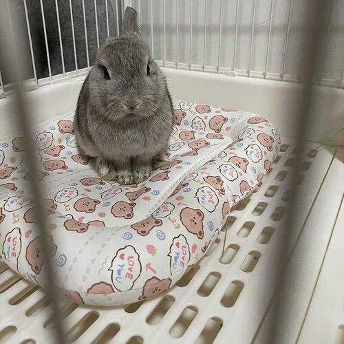 兔子趴趴垫夏季防泼水垫子小方垫兔兔冰垫夏天防水垫子侏儒兔垫子