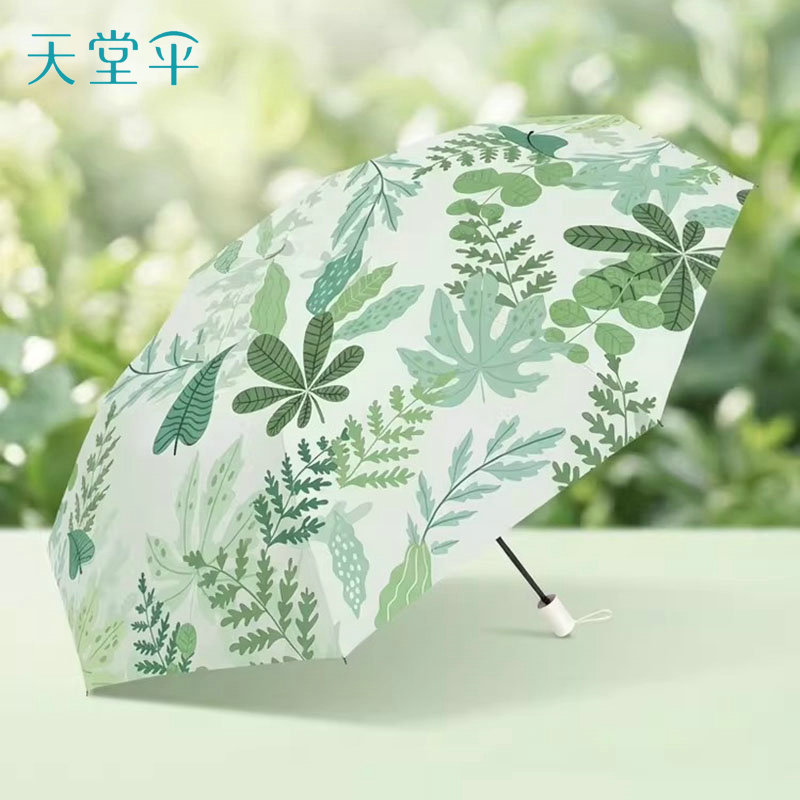 天堂伞晴雨两用伞黑胶防晒防紫外线遮阳伞油画太阳伞折叠小清新女