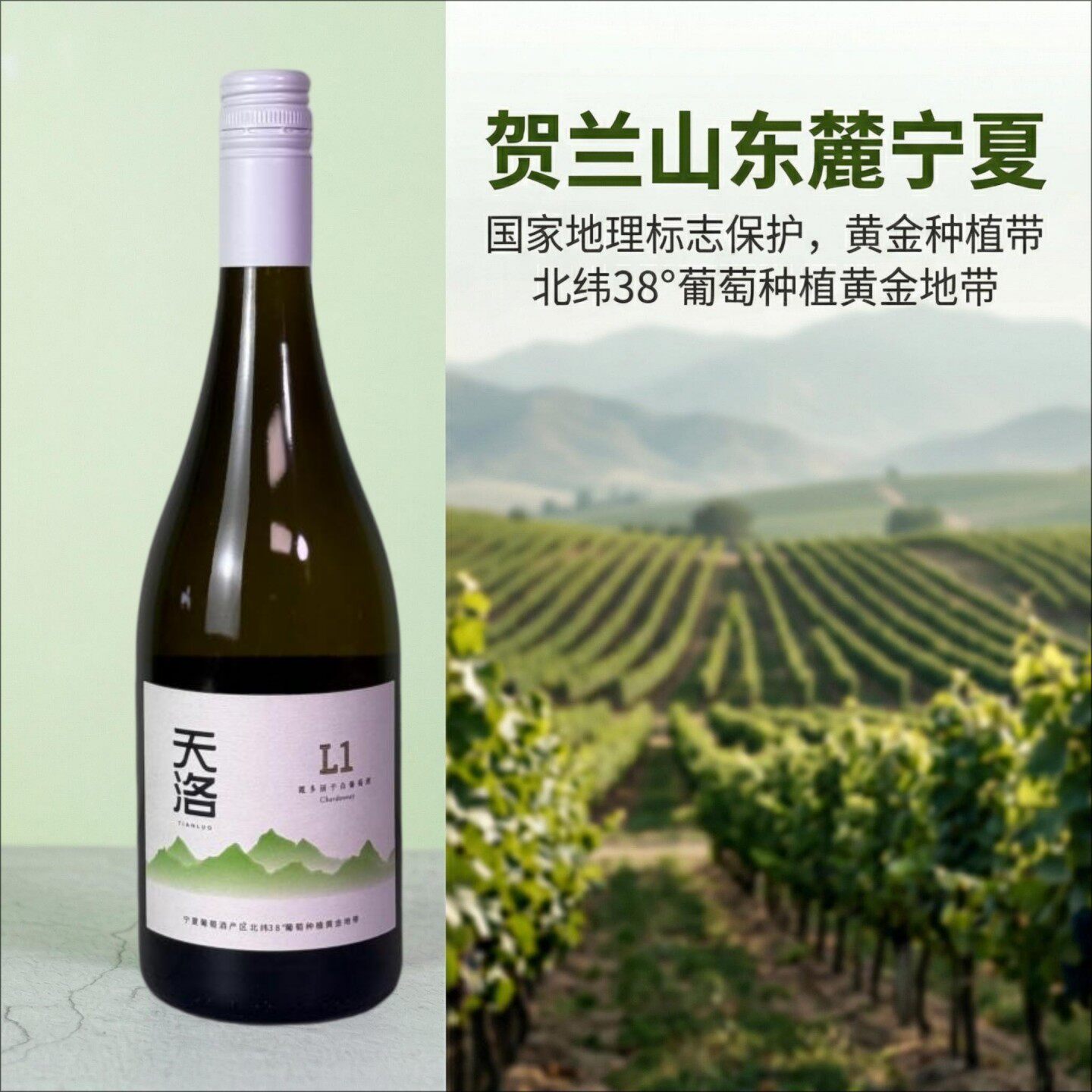宁夏贺兰山东麓天洛L1霞多丽干白