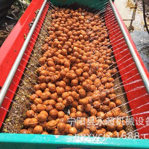 纸皮核桃不伤核桃青核桃脱皮去皮机家用清洗去皮青核桃去皮机毛刷
