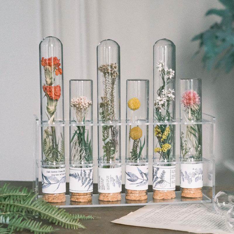玻璃TIF管干花手作样板间试房桌面件现代摆实验书风植物标本道具