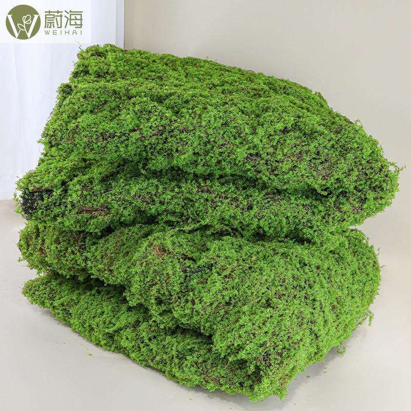 仿真棕丝苔藓造景苔藓草皮景观软装搭配摆件室内外仿生绿植