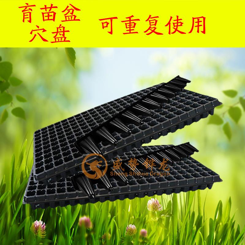 育苗穴盘 育苗盘 32穴 50穴 72穴 128穴 200穴 无孔穴盘