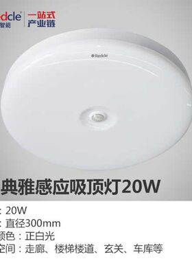 红典智能感应吸顶灯led楼道家用人体感应过道楼梯灯声光控感应灯