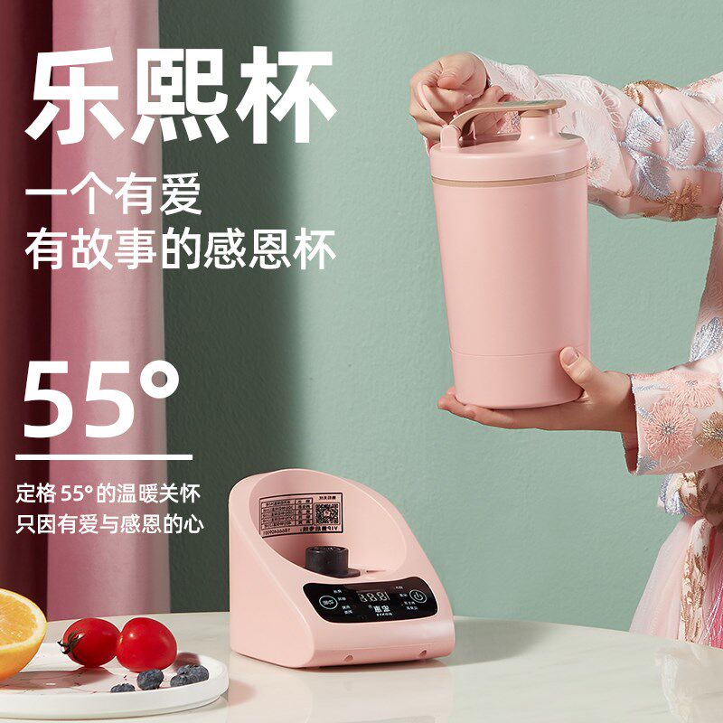 宏惠养生壶小型办公室保温杯煮茶壶煮茶器全自动家用烧水壶分体杯