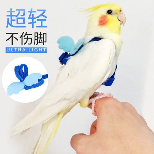 鹦鹉放飞绳超轻背带式不伤脚玄凤虎皮鸟外出遛鸟牵引飞行溜鸟神器