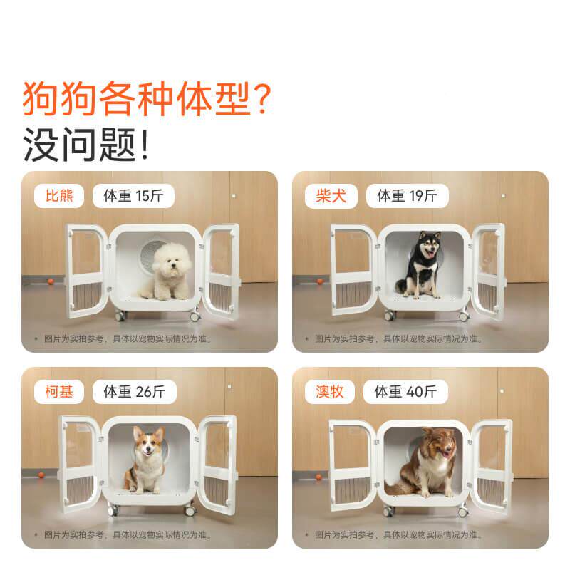 宠物动自吹干箱PDPD155毛非吊臂式狗狗猫1咪家用烘吹水机