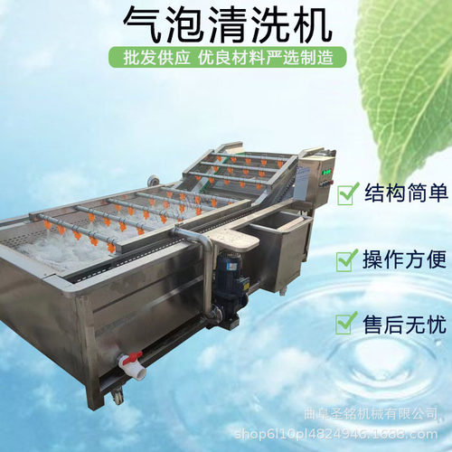 喷淋式气泡清洗机 萝卜土豆花生去泥清洗机 荔枝蓝莓葡萄清洗机