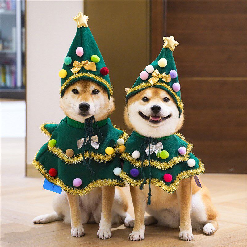 行走的圣诞树 狗狗圣诞节衣服柴犬可爱围脖帽子秋冬喜庆拍照装饰