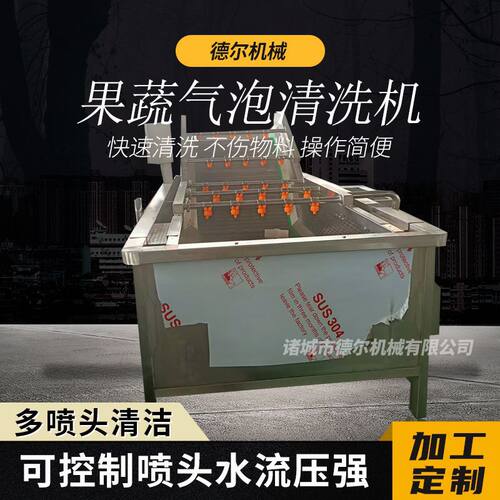 全自动果蔬气泡清洗机果蔬加工设备清洗流水线设备