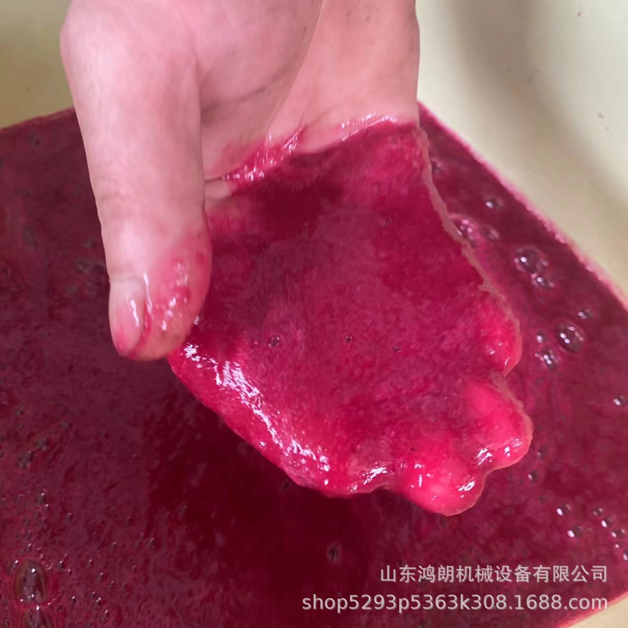 火龙果汁压榨机不锈钢浓缩果汁机果蔬加工设备