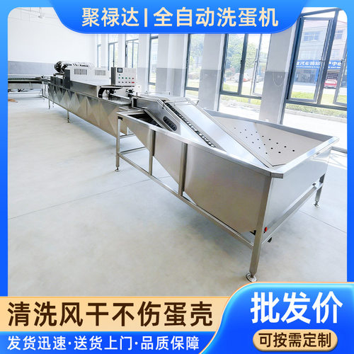 全自动双排小型洗蛋机蛋品清洗机泥蛋麻酱咸鸭蛋不锈钢鸡蛋清洗机