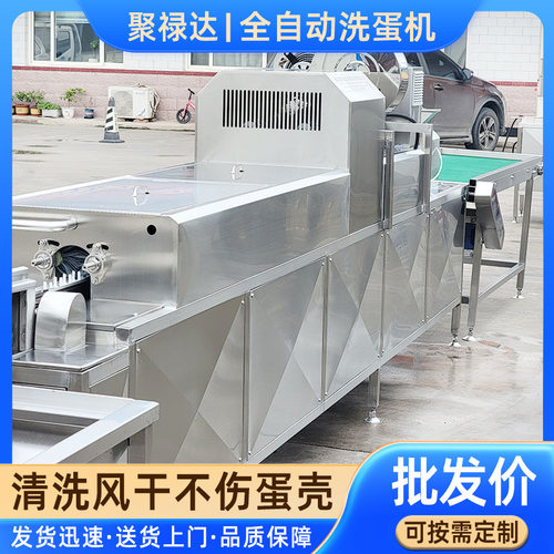 粉壳蛋野鸡蛋清洗机 去污风干大型商用洗蛋机鸡蛋清洗风干喷油机