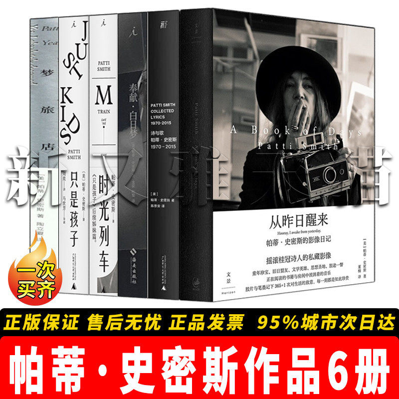 帕蒂史密斯作品全集6册 只是孩子+诗与歌+从昨日醒来+时光列车+奉献白日梦+梦旅店 朋克教母摇滚桂冠诗人文学随笔诗歌正版书籍
