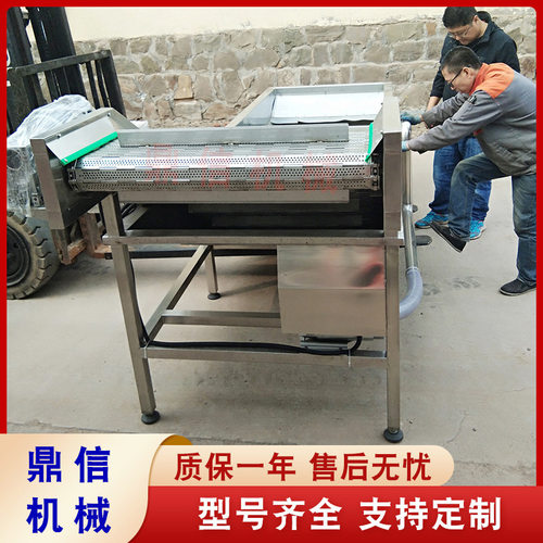 鼎信 粽叶连续清洗机 不锈钢 叶类清洗机器 扁豆清洗加工流水线
