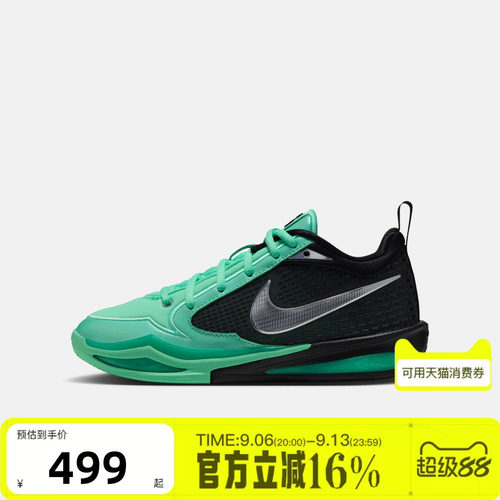 NIKE耐克大童秋SABRINA 4萨布丽娜实战缓震运动休闲鞋IM7546-300