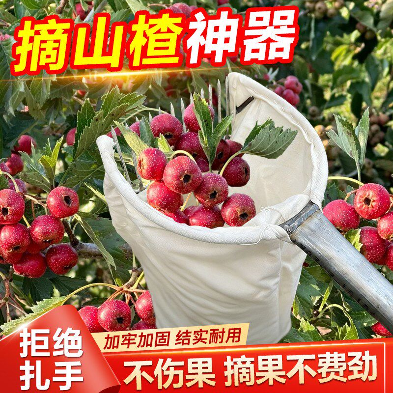 摘山楂神器工具多功能高空高处树上采摘水果子金樱子酸枣专用神器