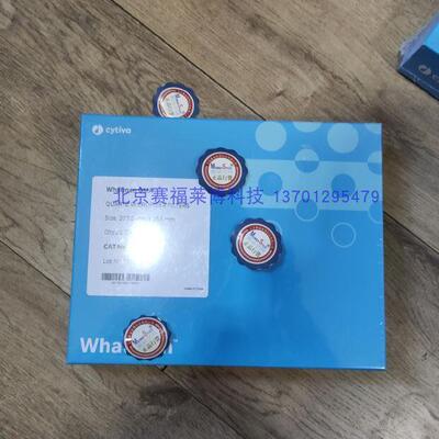 QMA石英滤膜 Whatman石英纤维滤膜 1851-090 1851-865 203*254mm