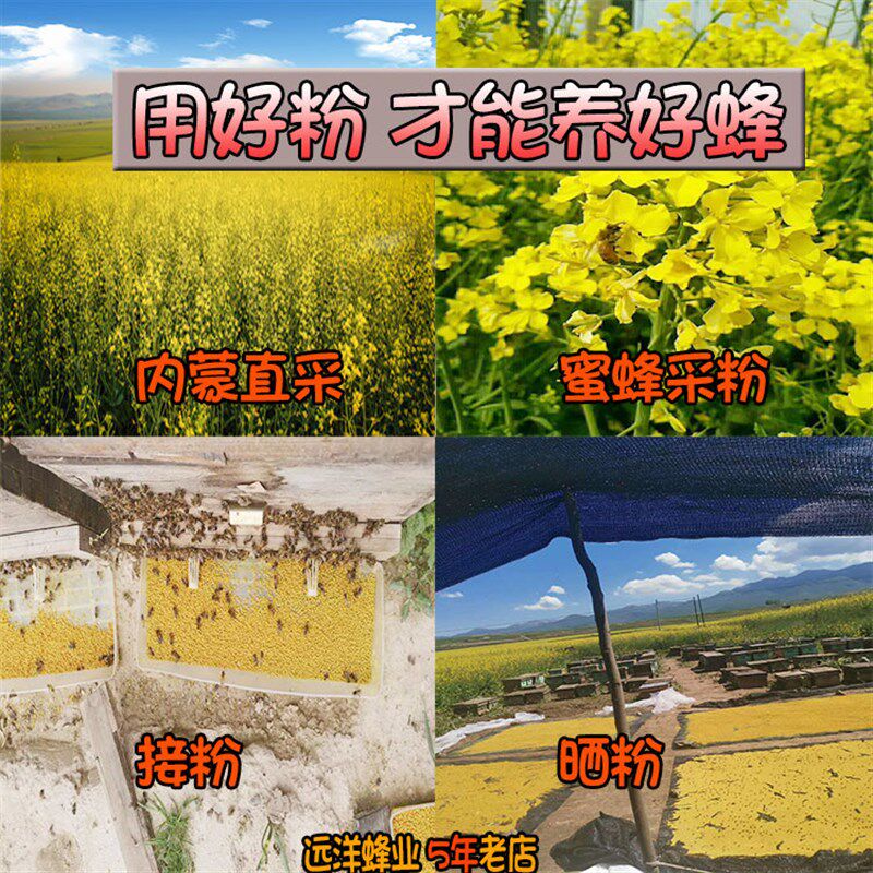 远洋蜂业 蜂场自产自销 油菜花粉 O喂蜜蜂零售蜂蜜