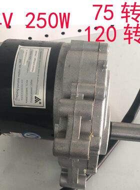 Yoneite 1016Z2永磁直流低速有刷电机24V电动轮椅电机250W75 Rpm