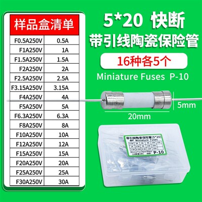 5*20双帽带引线陶瓷保险丝管0.5A1A2.5A3.15A4A6.3A10A12A25A30A