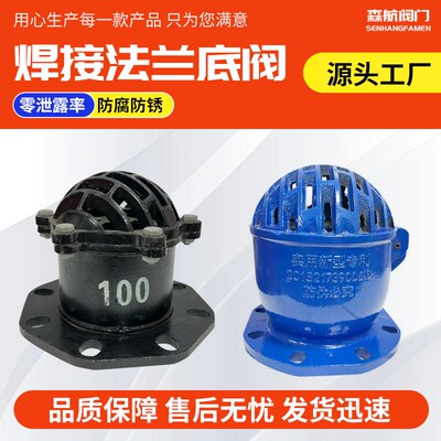 法兰底阀 单向阀止回阀铸铁水泵底阀H42X-6/10内螺纹丝扣底阀DN50
