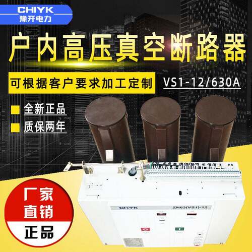 VS1-12真空断路器10kV户内压真空断路器ZN63固定式压断路器