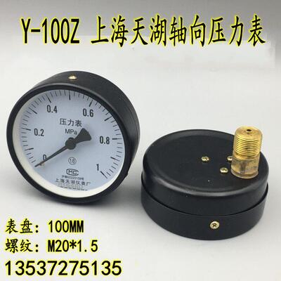 天湖Y-100Z轴向不带边压力表0-1 1.6 2.5MPA背接水压气压真空表