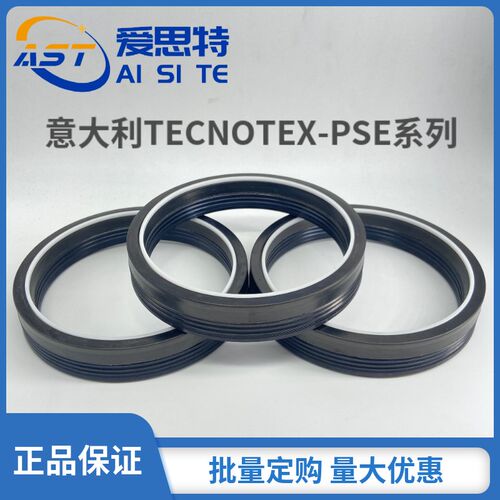 进口意大利TECNOTEX夹布组合PSE油封SEP密封件SM组合油封密封圈