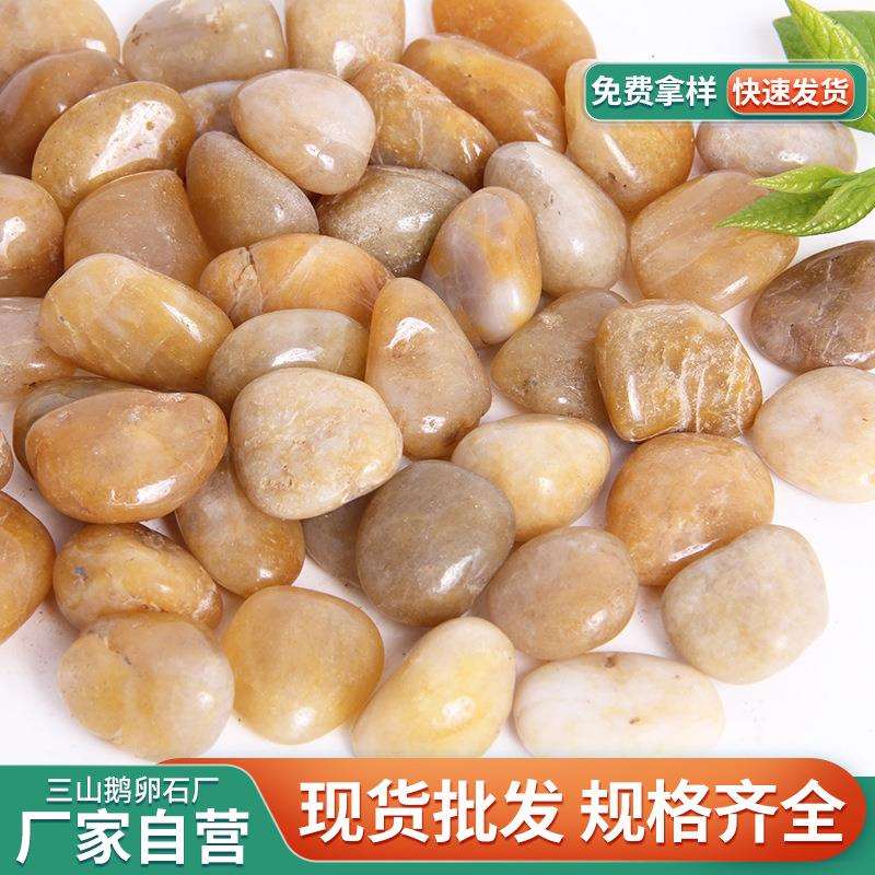 黄色抛光鹅卵石 工程铺路黄色石头园林景观鱼缸造景雨花石厂家