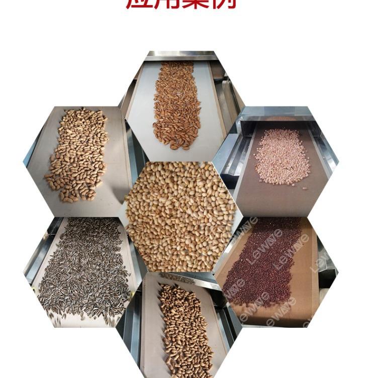 五谷杂粮低温烘焙设备 杂粮熟化机 荞麦、燕麦片预熟烘干设备