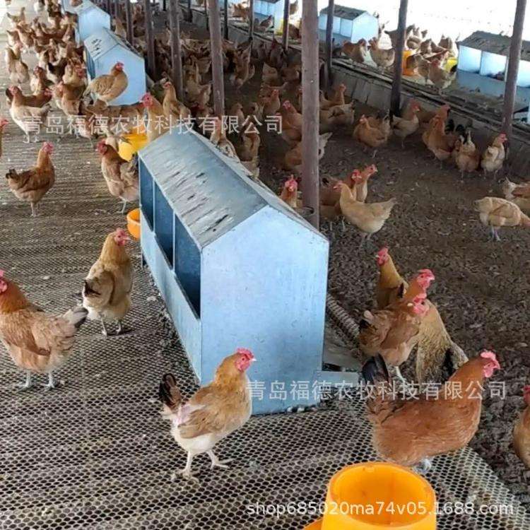 产蛋箱生产厂家 24穴产蛋箱 产蛋箱 散养鸡用产蛋箱厂家