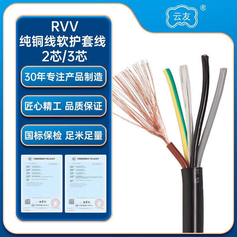 RVV2*10插头线电源线rvv2芯10平方护套线10平方2芯护套线铜芯线