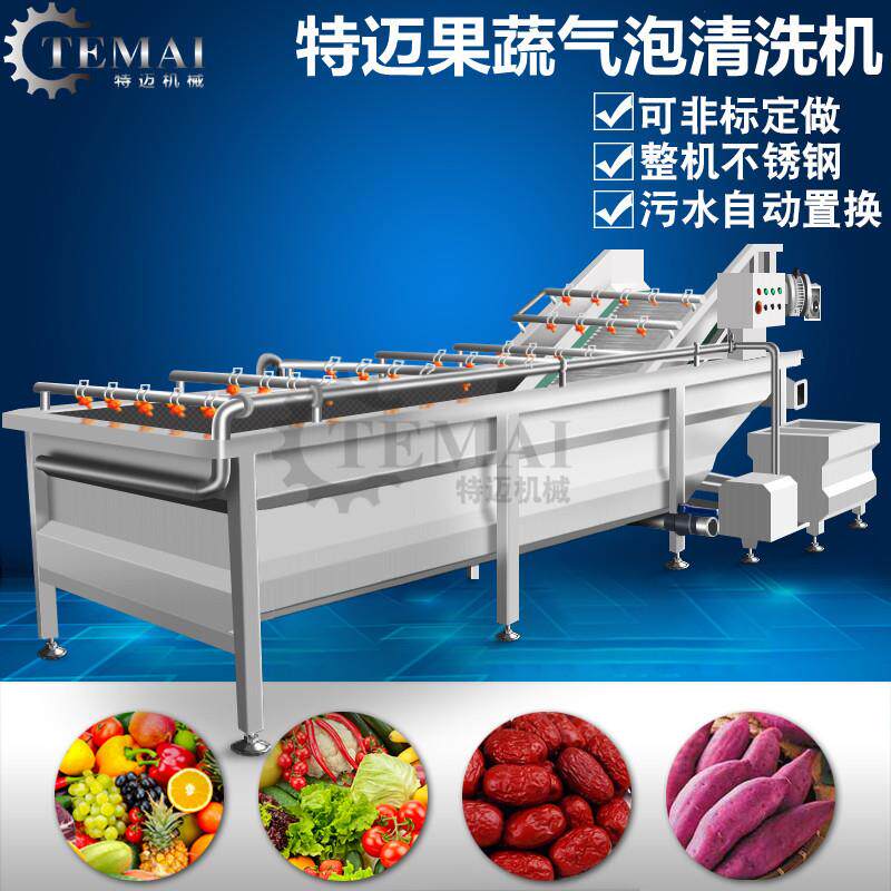 厂家红醋栗气泡清洗机 不锈钢商用蔓越莓水果清洗加工流水线