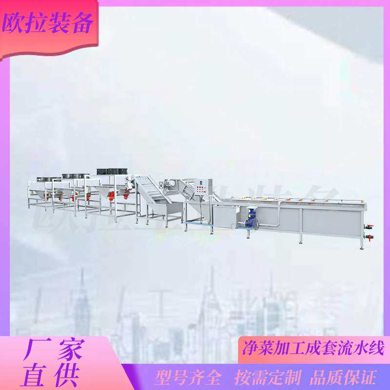 全自动酸菜清洗机 喷淋式不锈钢蔬菜清洗设备 腌豆角气泡清洗机