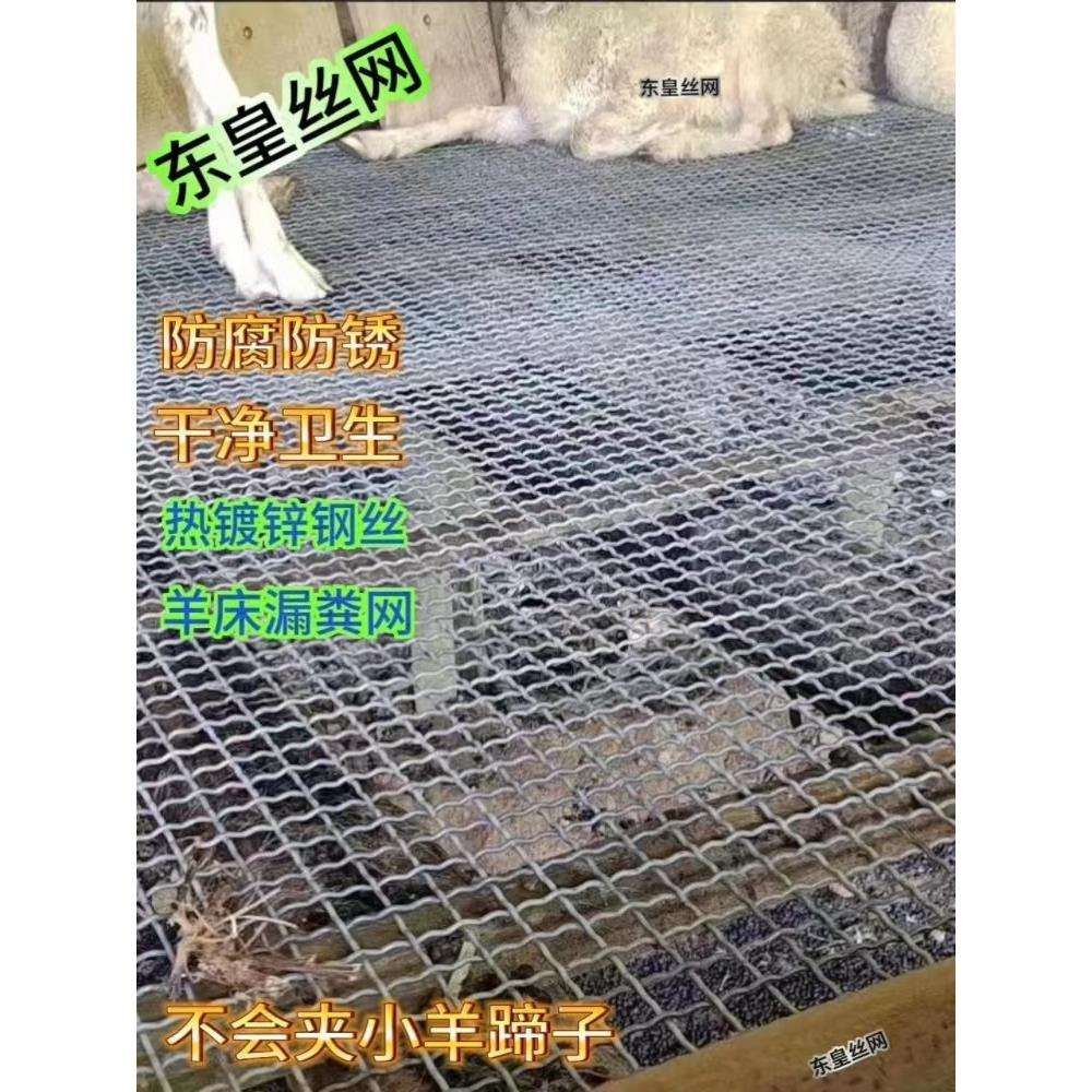 热镀锌钢丝网羊床漏粪网鸡鸭鹅漏粪网编织网筛网羊床钢丝网围栏网