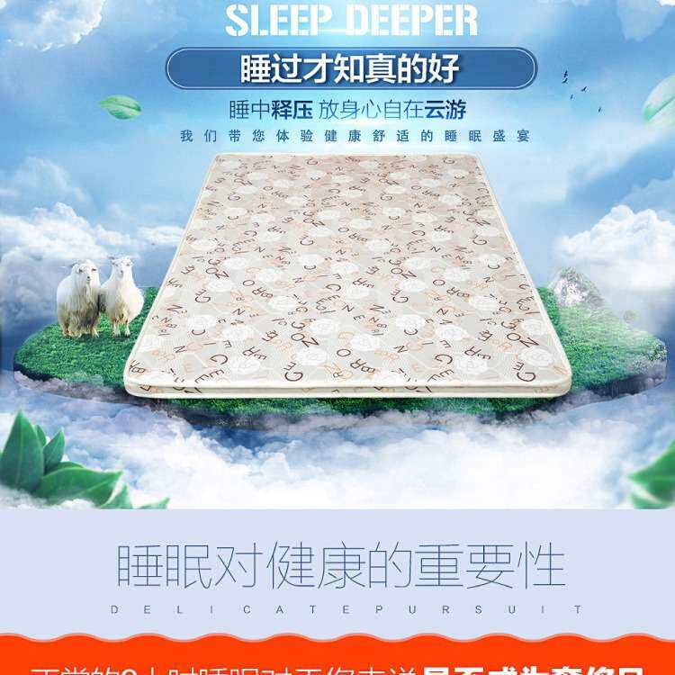 天然棕榈椰棕床垫单双人榻榻米软硬垫椰棕床垫8CM可折叠5CM垫子