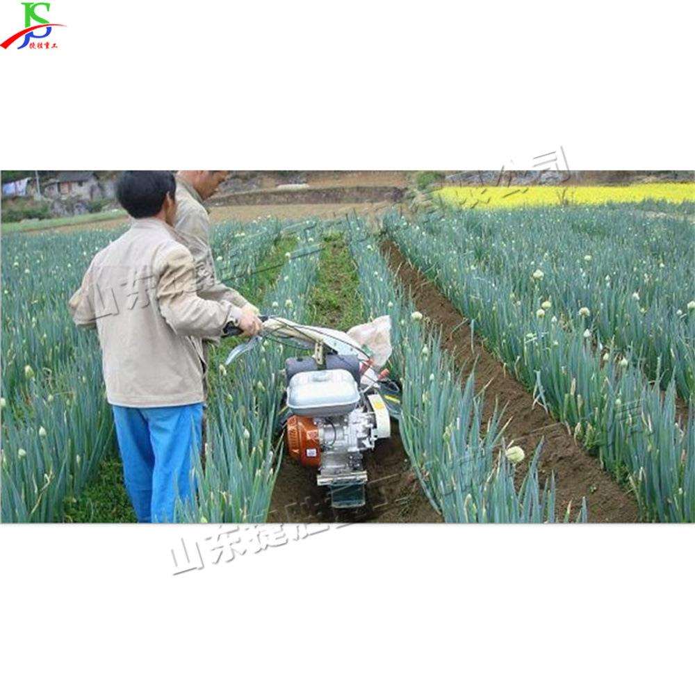 手扶式大葱培土机 农田起垄柴油旋耕机 土豆甘蔗种植开沟培土设备