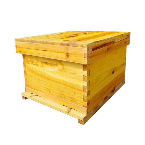 蜜蜂箱格子箱中蜂土养格子箱蜜蜂养殖工具诱蜂桶全套杉木烘干煮蜡