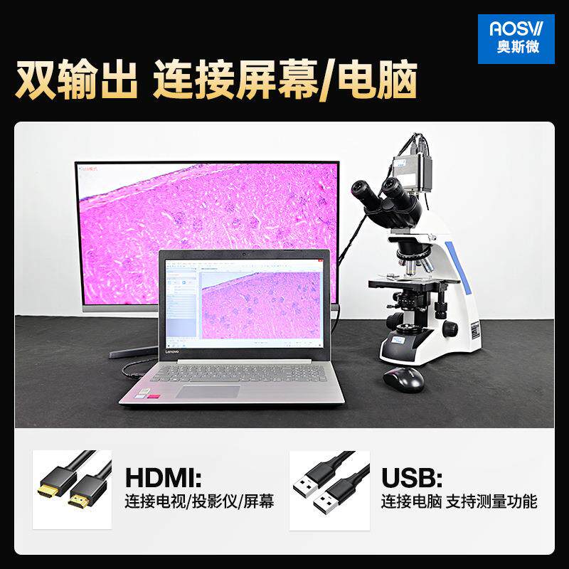奥斯微(AOSVI)科研级专业细菌实验高倍生物显微镜 CM30-HK810