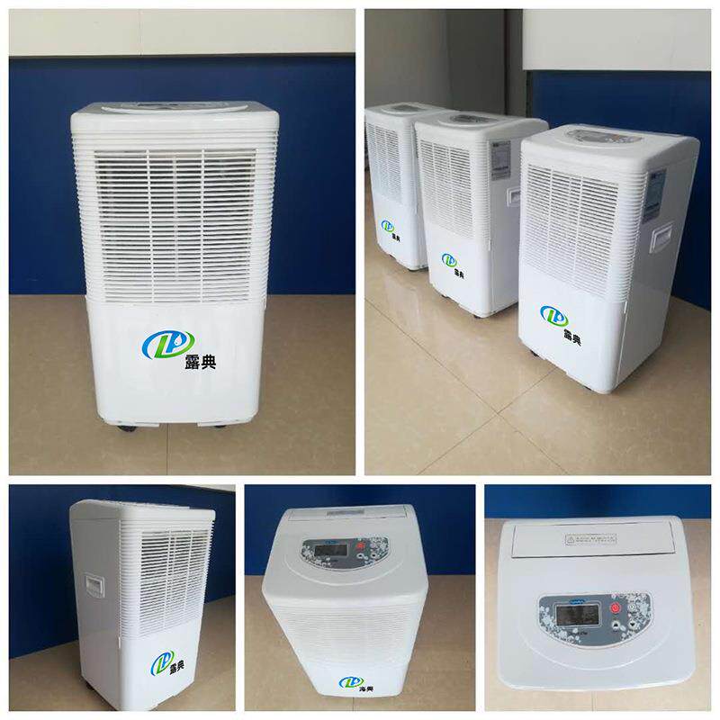 露典 除湿机 家用小型抽湿机大容量静音除湿器地下室大功率吸湿器