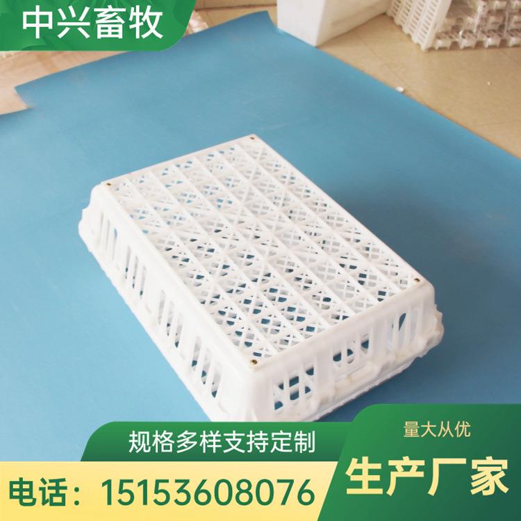 鸡笼 鸭笼 鸭鹅鸽兔鸡运输笼 抗压抗摔耐用成鸡运输笼