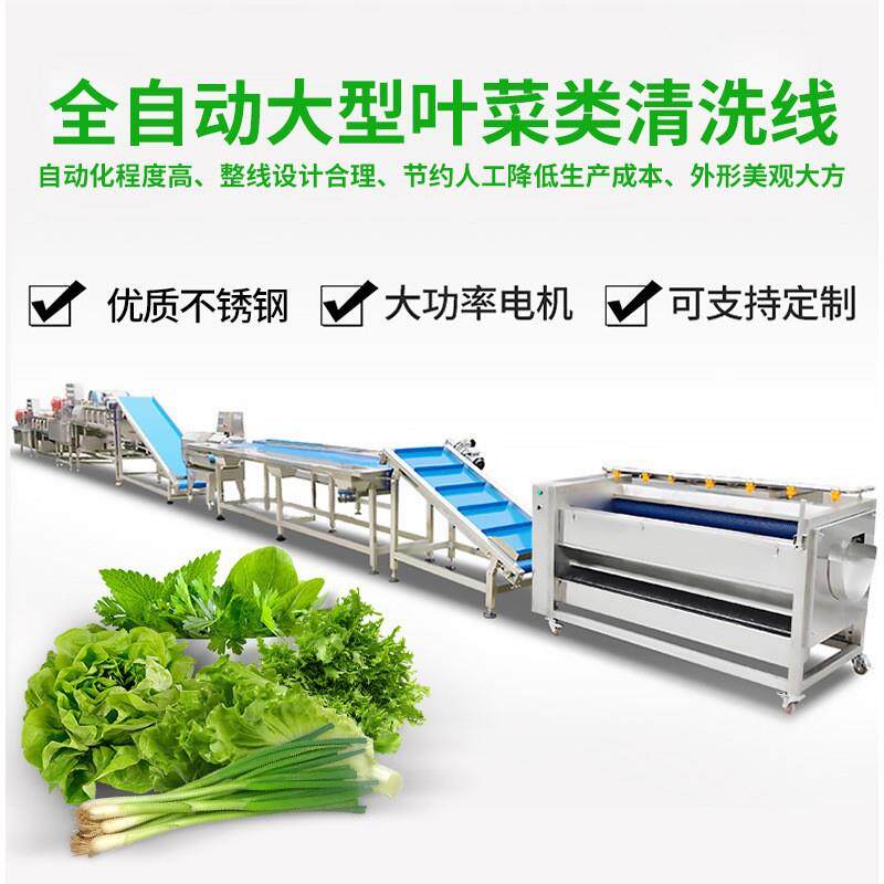 商用全自动叶菜类清洗线不锈钢果蔬清洗机中央厨房清洗类机械设备